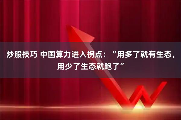 炒股技巧 中国算力进入拐点：“用多了就有生态，用少了生态就跑了”
