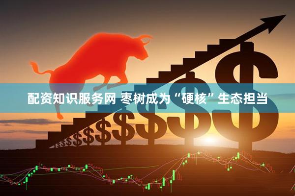 配资知识服务网 枣树成为“硬核”生态担当