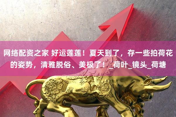 网络配资之家 好运莲莲！夏天到了，存一些拍荷花的姿势，清雅脱俗、美极了！_荷叶_镜头_荷塘