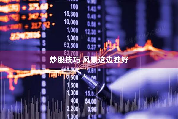 炒股技巧 风景这边独好