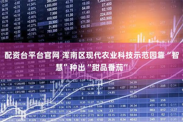 配资台平台官网 浑南区现代农业科技示范园靠“智慧”种出“甜品番茄”