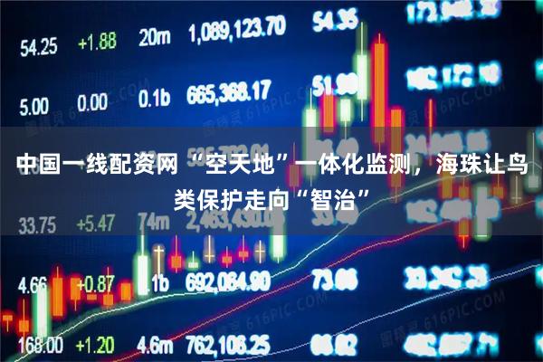 中国一线配资网 “空天地”一体化监测,海珠让鸟类保护走向“智治”